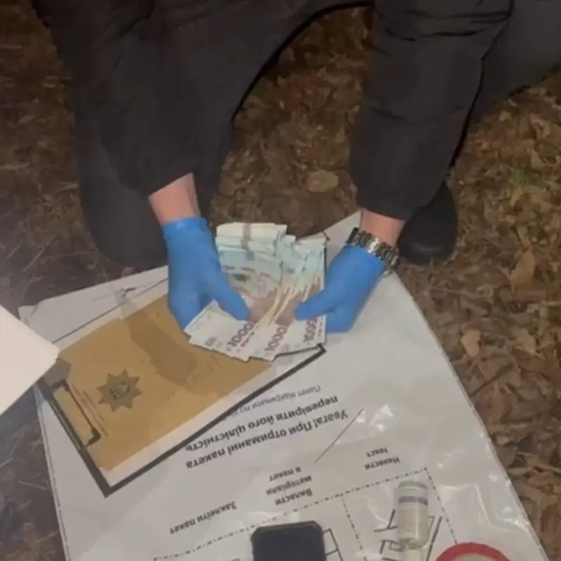 У Кропивницькому викрили посадовця фітосанітарної лабораторії на хабарі у 30 тисяч гривень
