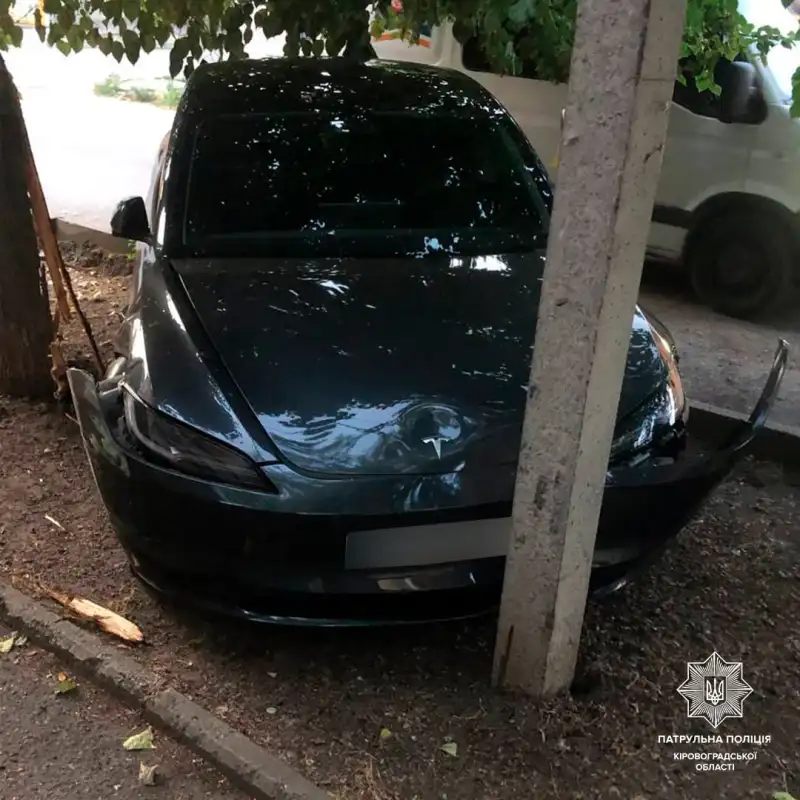 У Кропивницькому Tesla врізалася в дерево та електроопору