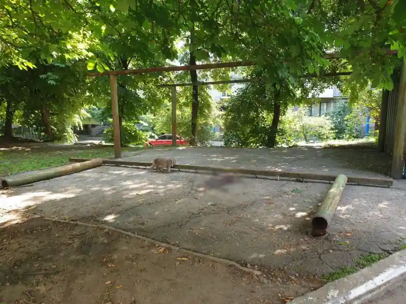 П’ятирічний Михайлик із Кропивницького дивом відновлюється після тяжкої травми